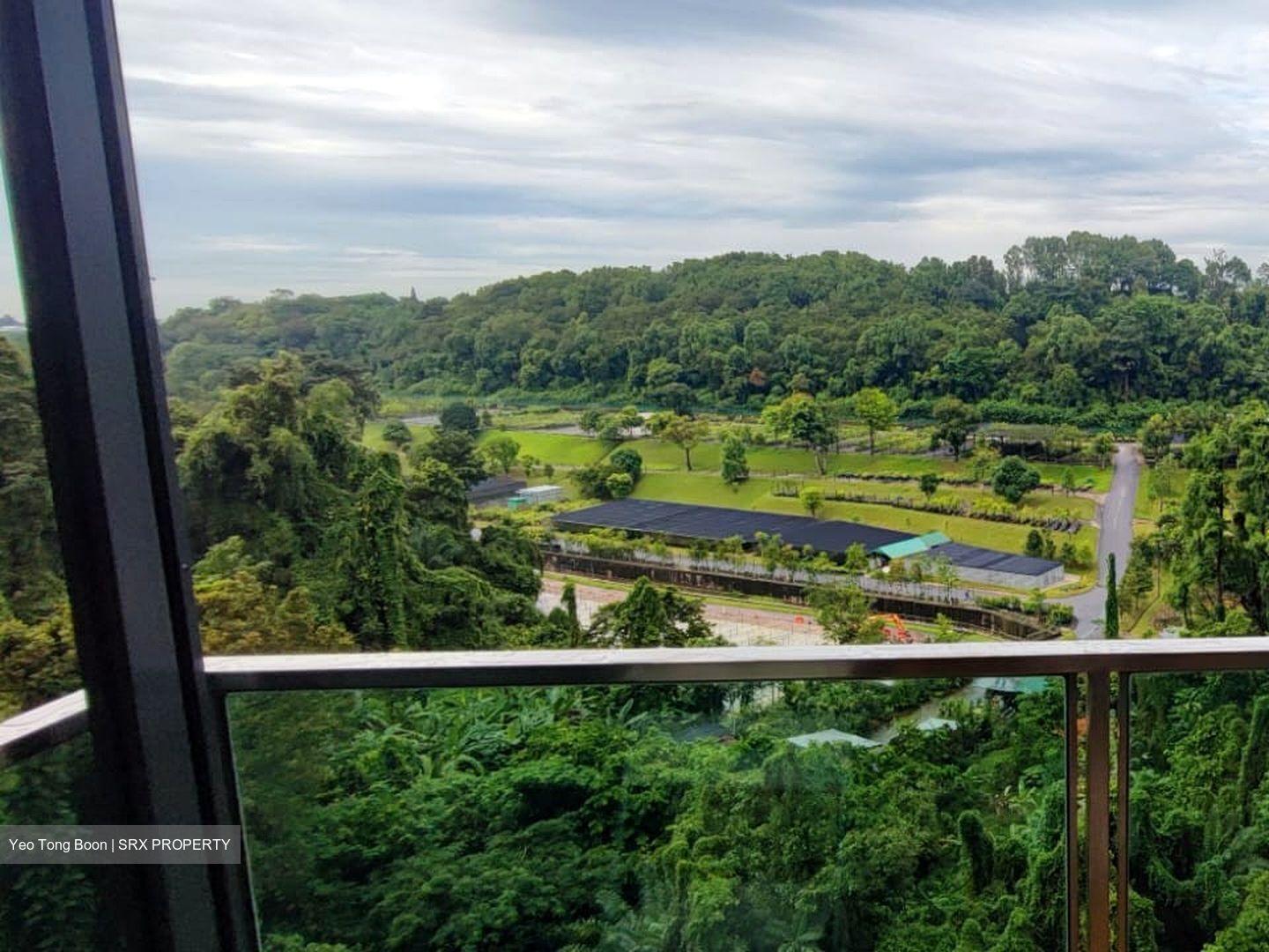 Normanton Park (D5), Apartment #596451541